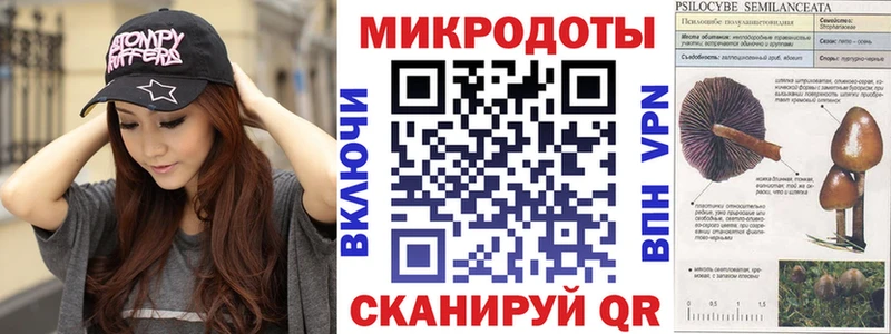 Псилоцибиновые грибы мухоморы  как найти закладки  ссылка на мегу как зайти  Демидов 